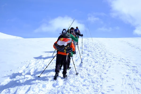 En grupp turister på en snöig berg — Stockfoto