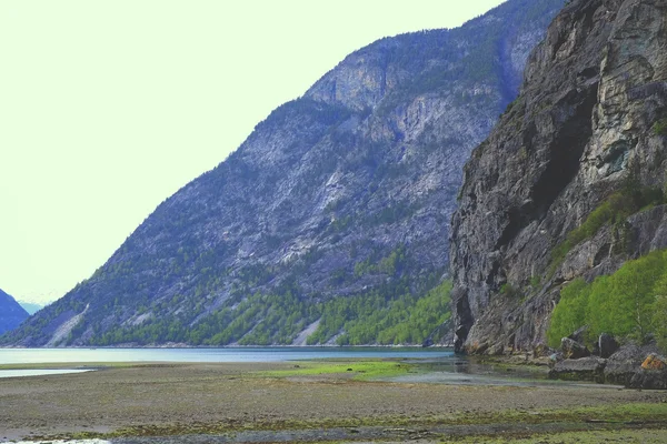 Panorama fjord, Noorwegen — Stockfoto