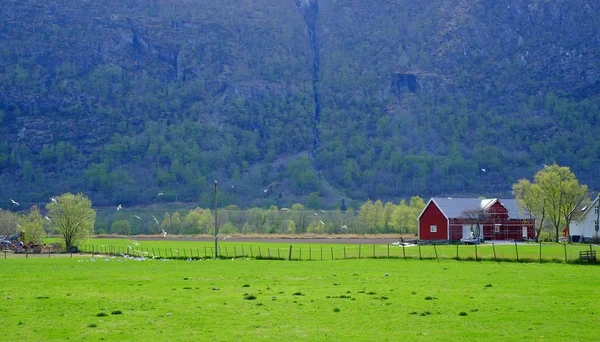Casa roja en un campo — Foto de Stock