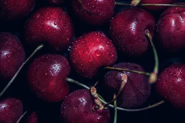 Cerises Rouges Biologiques Avec Tiges Photographie Dessus Point Vue Photographie — Photo