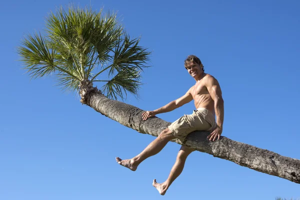 Человек сидит на стволе тропической пальмы — стоковое фото