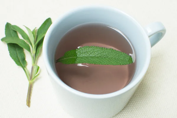 Black sage tea — Stock Photo, Image