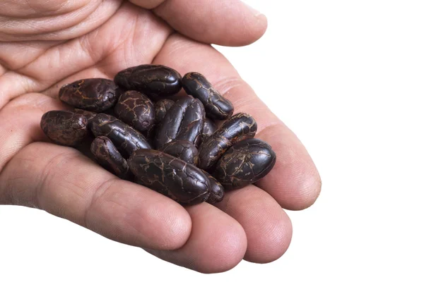 Puñado de granos de cacao crudos en blanco — Foto de Stock