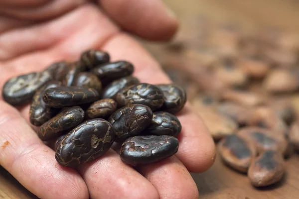 Handful of peeled cacao beans — Stock Photo, Image