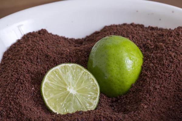 Polvo de cacao molido con limas frescas — Foto de Stock