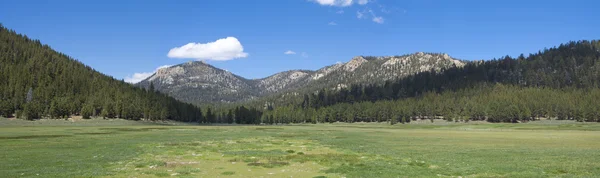 Prairie de montagne panoramique — Photo