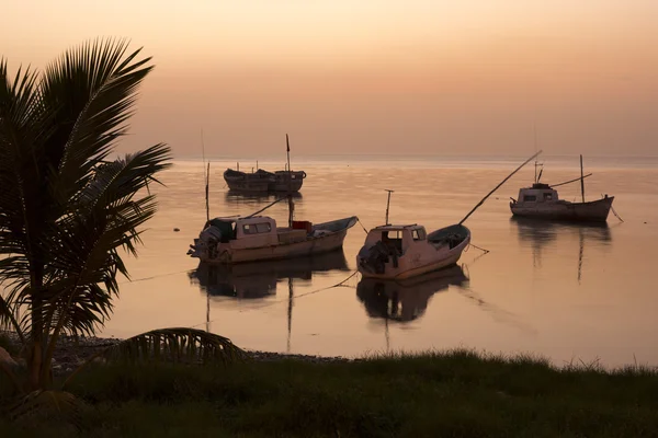 Mexikanska panga fiskebåtar i Campeche — Stockfoto