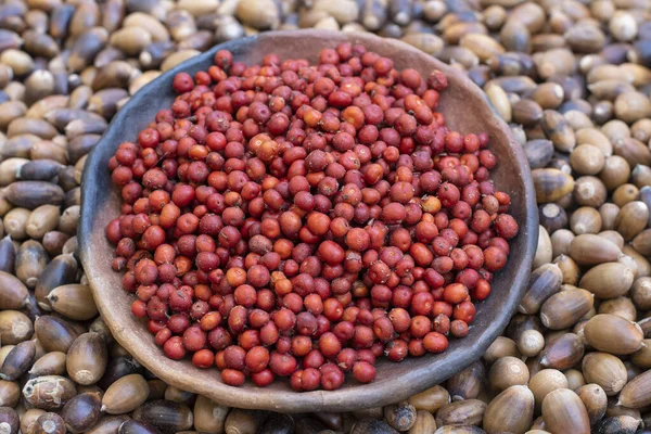 Meşe Palamudu Yığını Üzerinde Kırmızı Manzanita Meyveleriyle Dolu Ilkel Kil — Stok fotoğraf