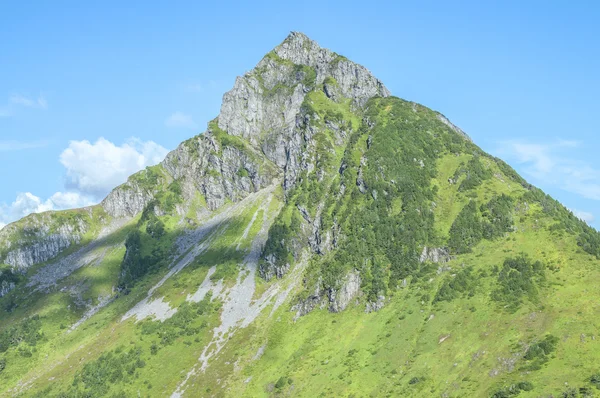 Bergstoppar — Stockfoto