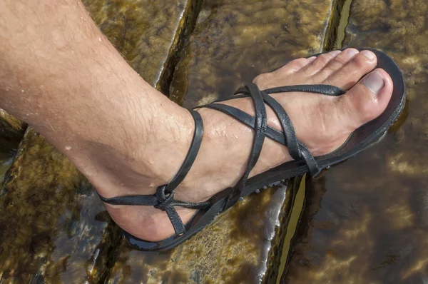 Minimalistické sandál — Stock fotografie