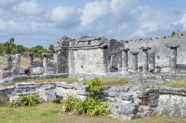 Bir tulum Maya Harabeleri