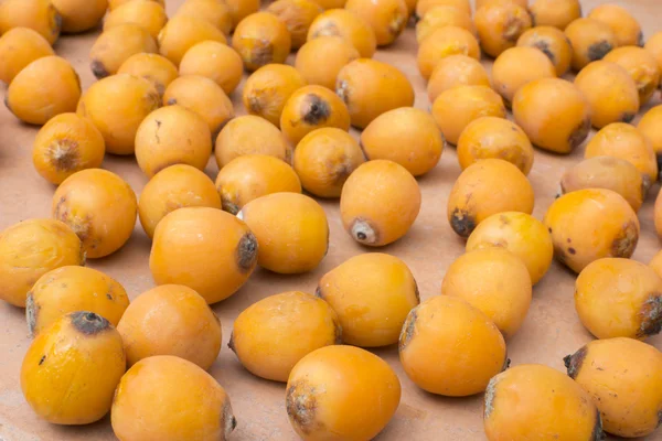 Madura reina palmeras en el suelo — Foto de Stock