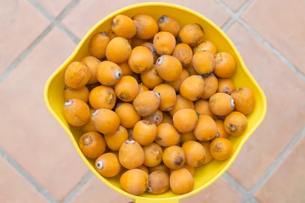 Yenilebilir Kraliçe palmiye tarihleri — Stok fotoğraf