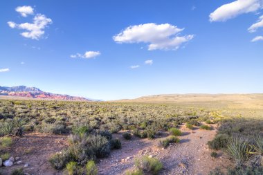 Nevada çöl manzara ve doğa