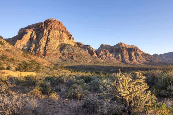 Morning light in harsh desert landscape — Stock Photo, Image