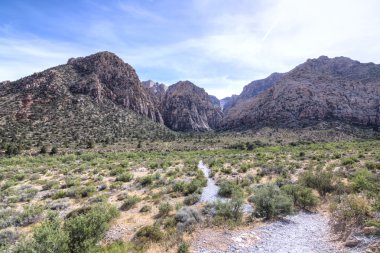 Desert wilderness and mountain canyon
