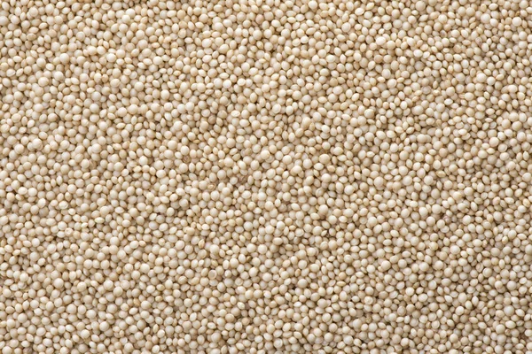 Closeup raw amaranth seed — Stock Photo, Image