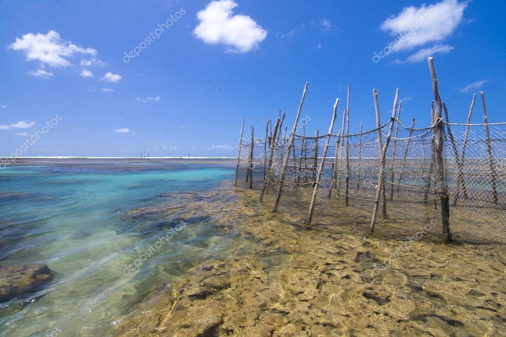 Fish traps on Brazilian reef Stock Photo by ©czuber 88141890