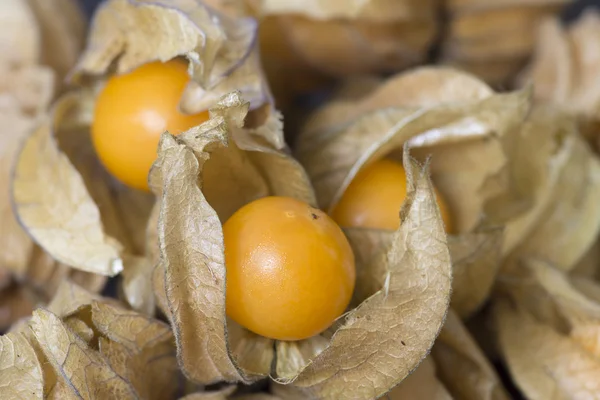 Fruta de la physalis cruda — Foto de Stock