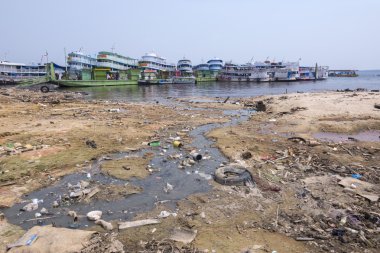 Kirli shore Rio Negro Manaus