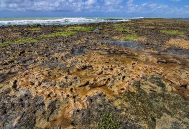 Mercan bariyer reef gelgit Brezilya'nın kuzeydoğu co kapalı, maruz