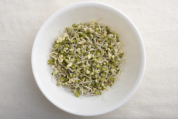 Bowl of mung bean sprouts — Stock Photo, Image