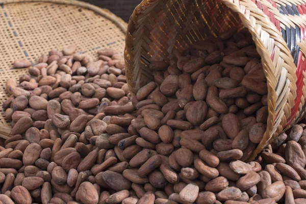 Canasta derramada de granos de cacao — Foto de Stock