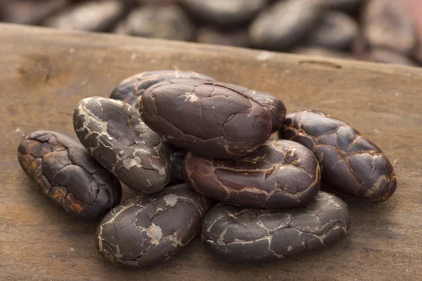 Super primer plano granos de cacao cacao — Foto de Stock