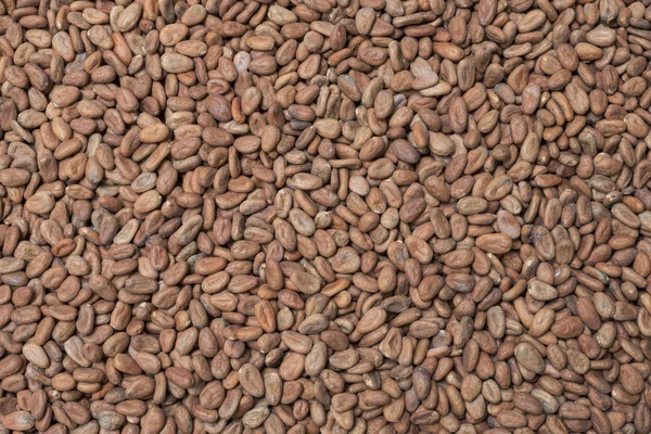 Tle surowego kakao — Zdjęcie stockowe