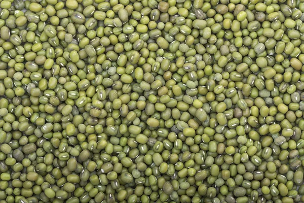 Harvest of mung beans — Stock Photo, Image