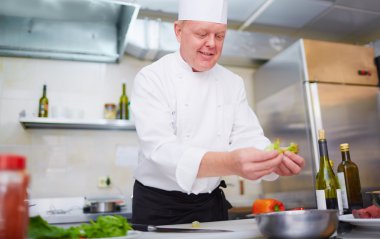 Şef Salata Pişiriyor