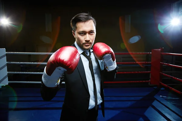 Hommes d'affaires en costume et gants de boxe — Photo