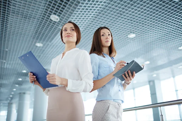 Partner stehen im Büro — Stockfoto