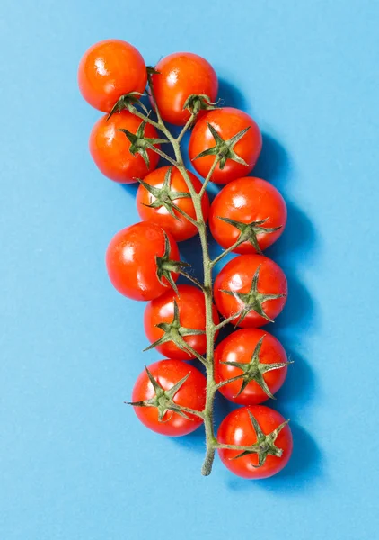 Cherry Tomatoes branch — Stock Photo, Image
