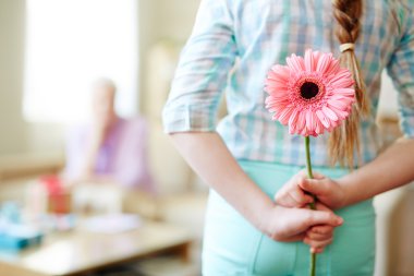 Kız gizleme gerbera