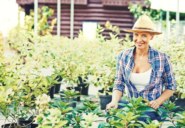 Mulher que trabalha com plantas — Fotografia de Stock