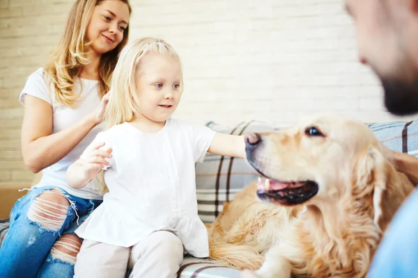 Маленькая девочка смотрит на собаку — стоковое фото