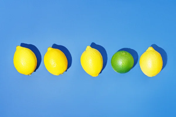 Mixed citrus fruits — Stock Photo, Image