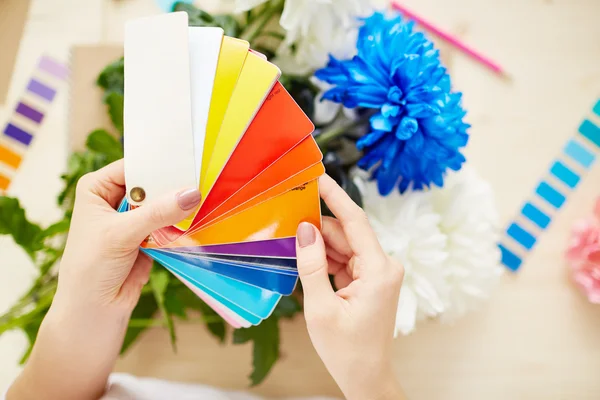 Hands holding color swatches — Stock Photo, Image