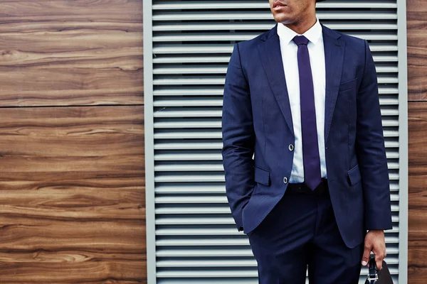 Well-dressed young businessman — Stock Photo, Image