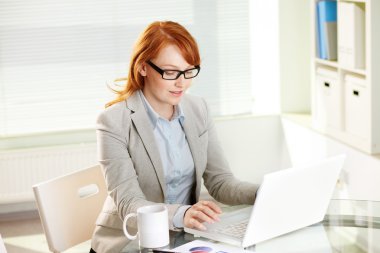 Dizüstü bilgisayarla çalışan iş kadını