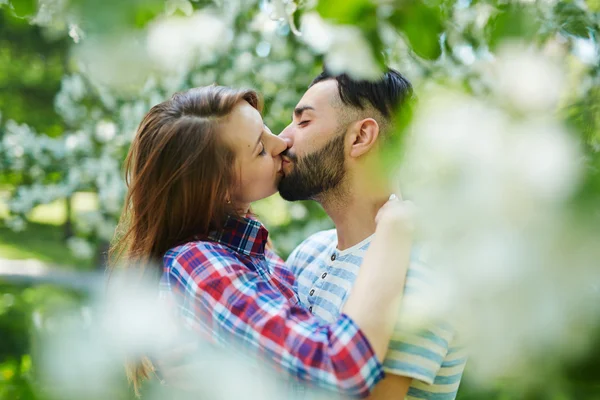 Casal beijando no jardim — Fotografia de Stock