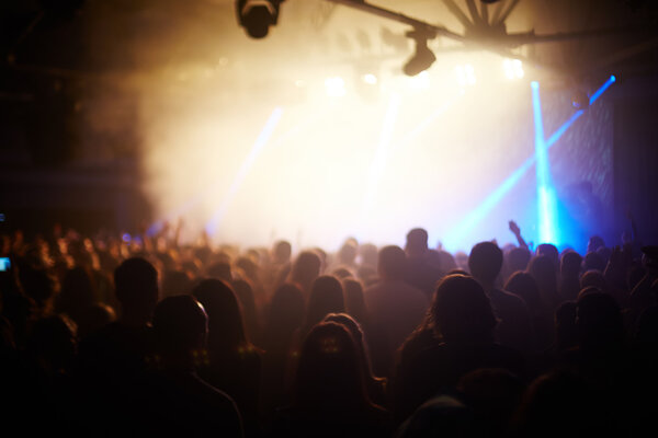 Crowd of fans at concert 