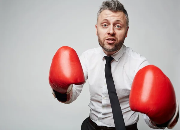 Företagsledare i boxning handskar — Stockfoto