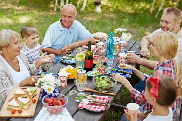 Family having picnic — Stock Photo, Image