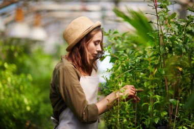 yeşil evde çalışan çiftçi