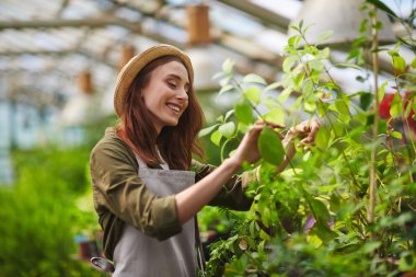 yeşil evde çalışan çiftçi