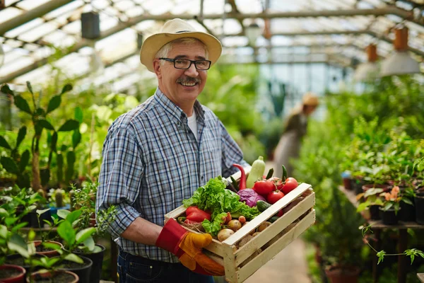 Agricultor con verduras cultivadas — Foto de Stock