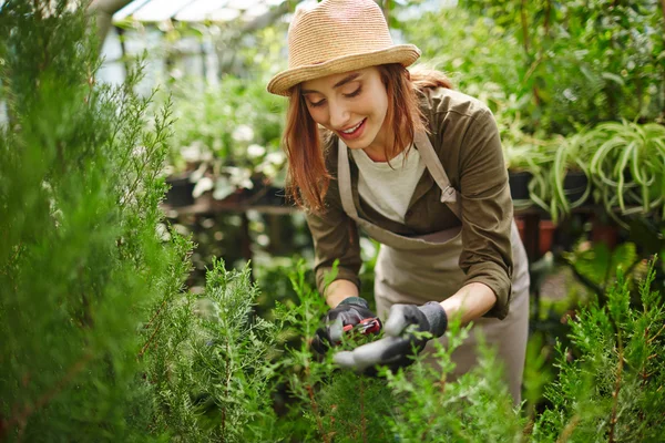 Instalaciones de corte de jardineros — Foto de Stock