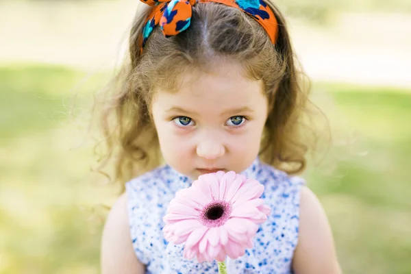 Roztomilá dívka páchnoucích růžová gerbera — Stock fotografie